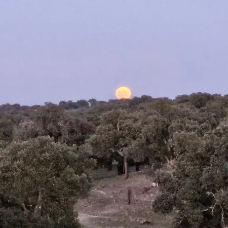 Hotel Rural Portilla De Monfraguee