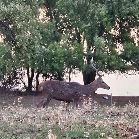 Rural Portilla De Monfraguee Hotel