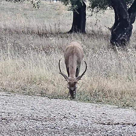 Rural Portilla De Monfraguee Hotel 2*
