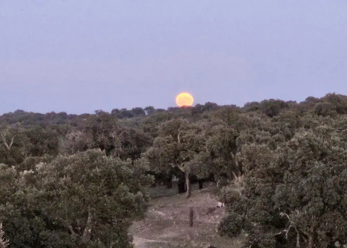 Hotel Rural Portilla De Monfraguee