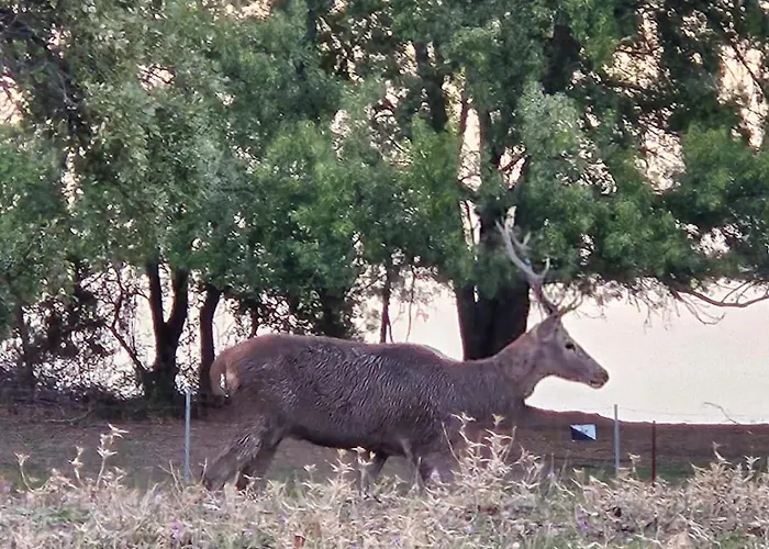Rural Portilla De Monfraguee Hotel